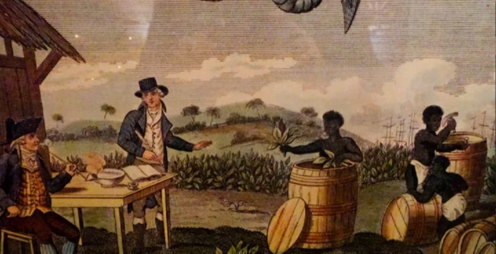 Antique engraving of tobacco cultivation in colonial Virginia.